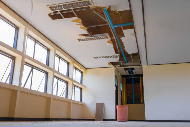 Water damage restoration experts in FL