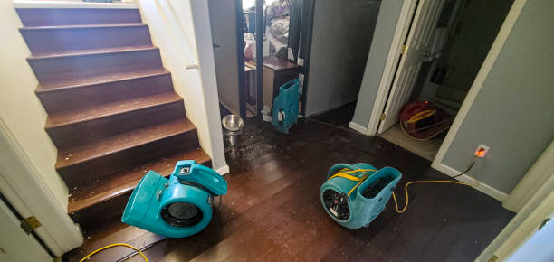 Best 24/7 water damage repair  in Quincy, FL