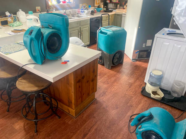 Best Ceiling water damage repair  in Quincy, FL