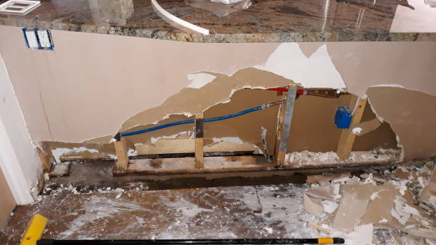 Best Water damage repair service  in Quincy, FL