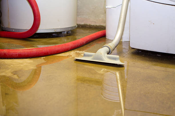 Best Water damage contractors near me  in Quincy, FL