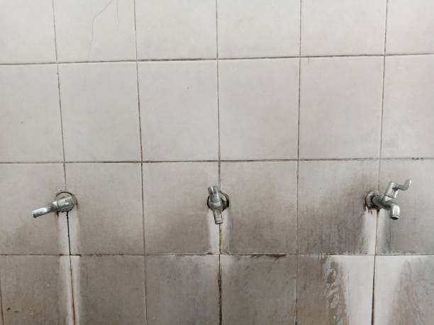  Quincy, FL Water damage restoration Pros