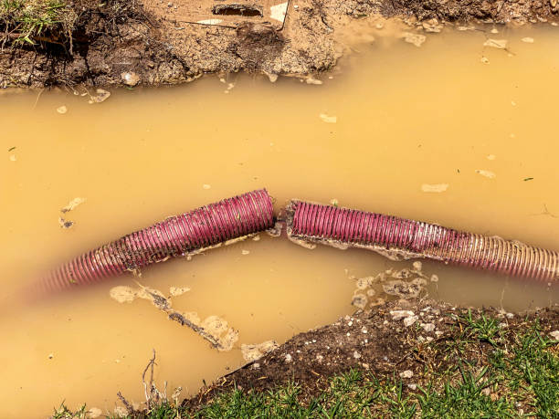 Best 24-hour water damage restoration  in Quincy, FL